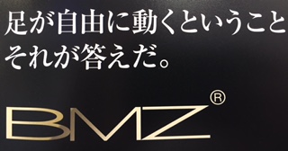 BMZ1