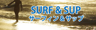 surf_sup-bnr